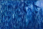 8月6日河南迎来关键降雨，玉米旱情能否缓解引关注
