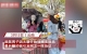 旅居男子摆摊买甜品发现商机，2小时被清空赚1500，纯利润太可观。